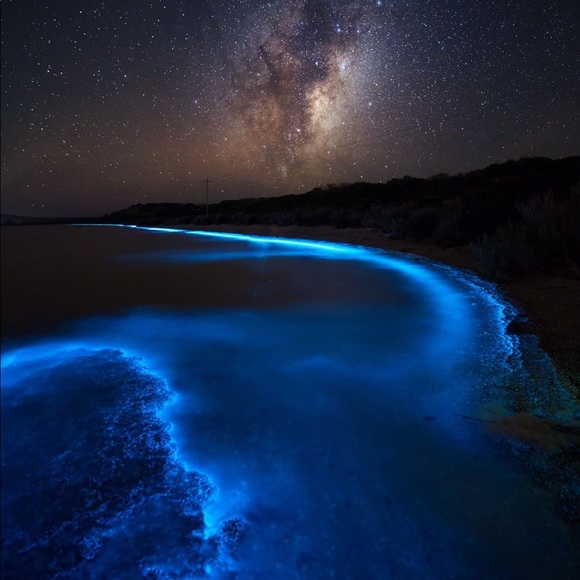 Meet your Posher. Maikai. - Latest Goodies: Polewear Rave Pieces Purses Shoes - Picture 8 of 8